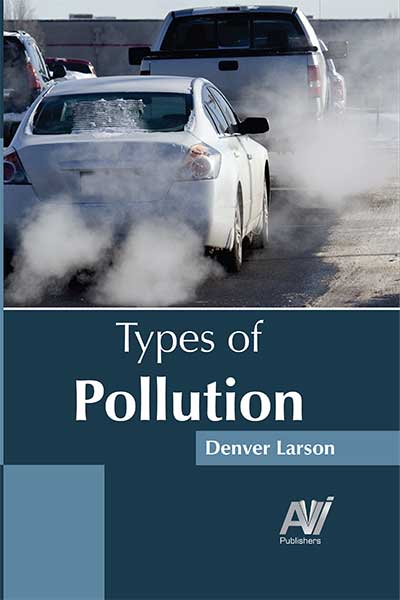 Types of Pollution